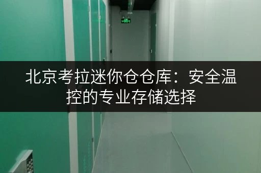 北京考拉迷你仓仓库:安全温控的专业存储选择 北京考拉迷你仓仓库:安全温控的专业存储选择
