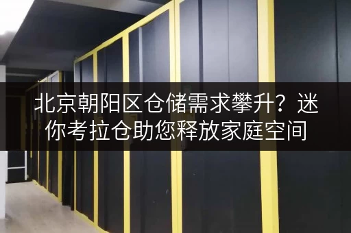 北京朝阳区仓储需求攀升?迷你考拉仓助您释放家庭空间 北京朝阳区仓储需求攀升?迷你考拉仓助您释放家庭空间