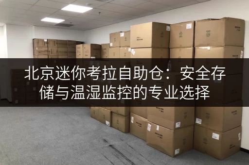 北京迷你考拉自助仓:安全存储与温湿监控的专业选择 北京迷你考拉自助仓:安全存储与温湿监控的专业选择
