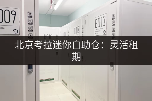 北京考拉迷你自助仓:灵活租期,自由存取的存储解决方案 北京考拉迷你自助仓:灵活租期,自由存取的存储解决方案