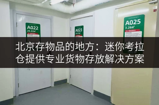 北京存物品的地方:迷你考拉仓提供专业货物存放解决方案 北京存物品的地方:迷你考拉仓提供专业货物存放解决方案