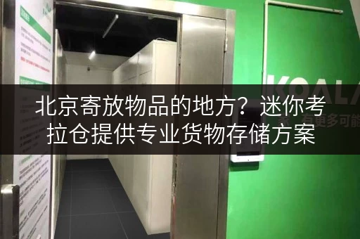 北京寄放物品的地方?迷你考拉仓提供专业货物存储方案 北京寄放物品的地方?迷你考拉仓提供专业货物存储方案