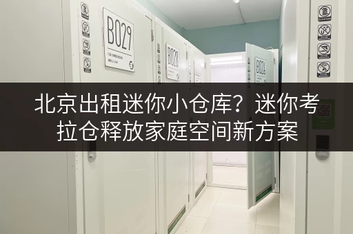 北京出租迷你小仓库?迷你考拉仓释放家庭空间新方案 北京出租迷你小仓库?迷你考拉仓释放家庭空间新方案