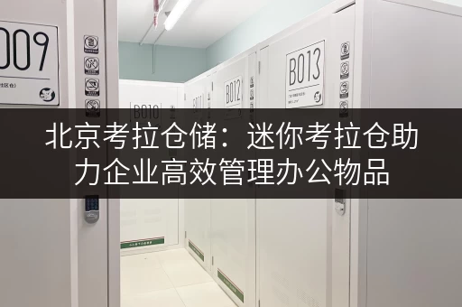 北京考拉仓储:迷你考拉仓助力企业高效管理办公物品 北京考拉仓储:迷你考拉仓助力企业高效管理办公物品