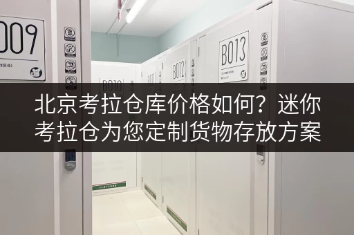 北京考拉仓库价格如何?迷你考拉仓为您定制货物存放方案 北京考拉仓库价格如何?迷你考拉仓为您定制货物存放方案