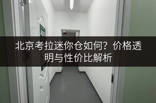 北京考拉迷你仓如何?价格透明与性价比解析 北京考拉迷你仓如何?价格透明与性价比解析