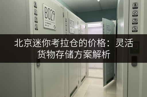 北京迷你考拉仓的价格:灵活货物存储方案解析 北京迷你考拉仓的价格:灵活货物存储方案解析