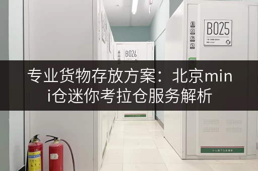 专业货物存放方案:北京mini仓迷你考拉仓服务解析 专业货物存放方案:北京mini仓迷你考拉仓服务解析