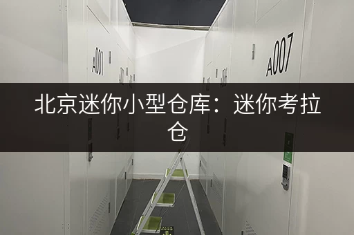 北京迷你小型仓库:迷你考拉仓,覆盖全城便捷存储方案 北京迷你小型仓库:迷你考拉仓,覆盖全城便捷存储方案