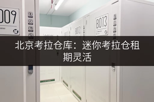 北京考拉仓库:迷你考拉仓租期灵活,存取自由 北京考拉仓库:迷你考拉仓租期灵活,存取自由