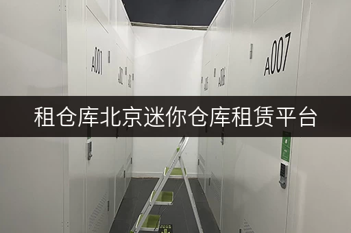 租仓库北京迷你仓库租赁平台,随存随取,便捷生活新选择 租仓库北京迷你仓库租赁平台,随存随取,便捷生活新选择