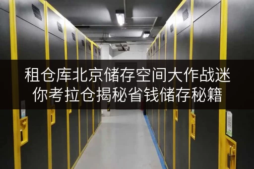 租仓库北京储存空间大作战迷你考拉仓揭秘省钱储存秘籍