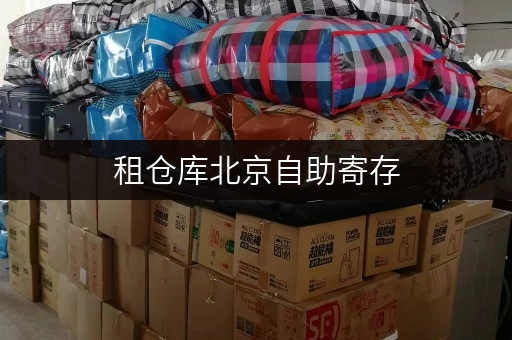 租仓库北京自助寄存,安全与温湿监控,守护您的每一件宝贝 租仓库北京自助寄存,安全与温湿监控,守护您的每一件宝贝