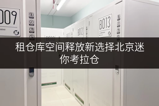 租仓库空间释放新选择北京迷你考拉仓,打造家庭品质生活新空间 租仓库空间释放新选择北京迷你考拉仓,打造家庭品质生活新空间