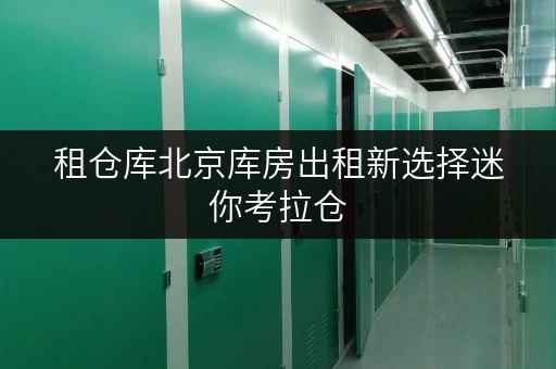租仓库北京库房出租新选择迷你考拉仓,便捷存取,全时段服务,释放家庭空间 租仓库北京库房出租新选择迷你考拉仓,便捷存取,全时段服务,释放家庭空间