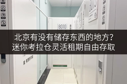 北京有没有储存东西的地方？迷你考拉仓灵活租期自由存取