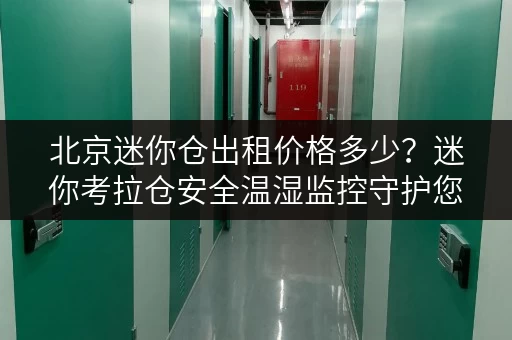 北京迷你仓出租价格多少?迷你考拉仓安全温湿监控守护您的物品 北京迷你仓出租价格多少?迷你考拉仓安全温湿监控守护您的物品