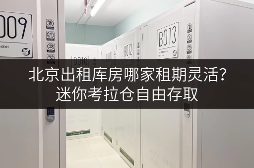 北京出租库房哪家租期灵活?迷你考拉仓自由存取 北京出租库房哪家租期灵活?迷你考拉仓自由存取