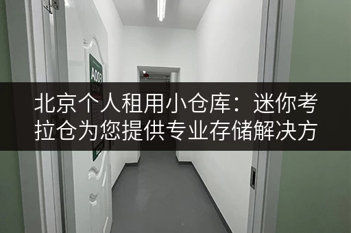 北京个人租用小仓库:迷你考拉仓为您提供专业存储解决方案 北京个人租用小仓库:迷你考拉仓为您提供专业存储解决方案