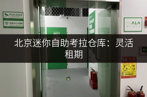 北京迷你自助考拉仓库：灵活租期，自由存取