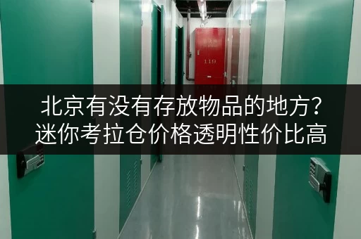 北京有没有存放物品的地方?迷你考拉仓价格透明性价比高 北京有没有存放物品的地方?迷你考拉仓价格透明性价比高