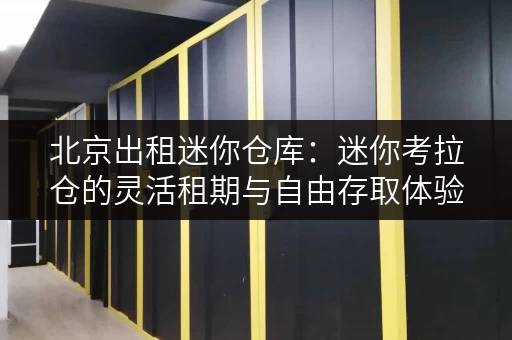 北京出租迷你仓库：迷你考拉仓的灵活租期与自由存取体验