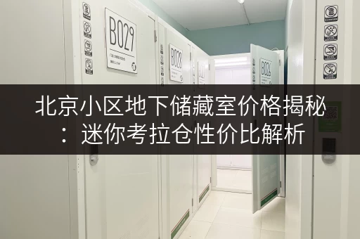 北京小区地下储藏室价格揭秘:迷你考拉仓性价比解析 北京小区地下储藏室价格揭秘:迷你考拉仓性价比解析