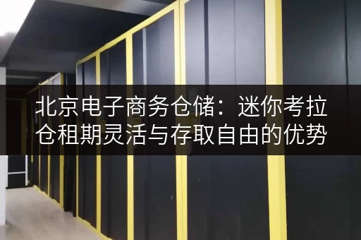 北京电子商务仓储:迷你考拉仓租期灵活与存取自由的优势 北京电子商务仓储:迷你考拉仓租期灵活与存取自由的优势