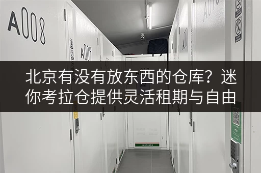 北京有没有放东西的仓库?迷你考拉仓提供灵活租期与自由存取服务 北京有没有放东西的仓库?迷你考拉仓提供灵活租期与自由存取服务