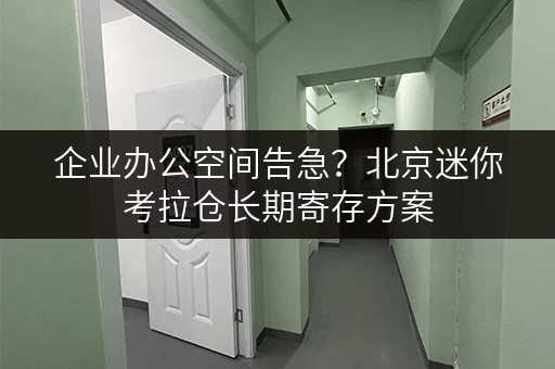 企业办公空间告急?北京迷你考拉仓长期寄存方案 企业办公空间告急?北京迷你考拉仓长期寄存方案